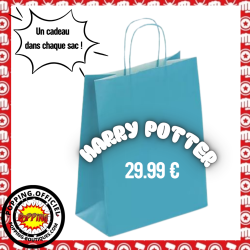 SAC SURPRISE HARRY POTTER -...