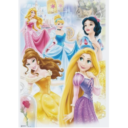 Poster des Princesses - Disney