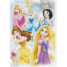 Poster des Princesses - Disney