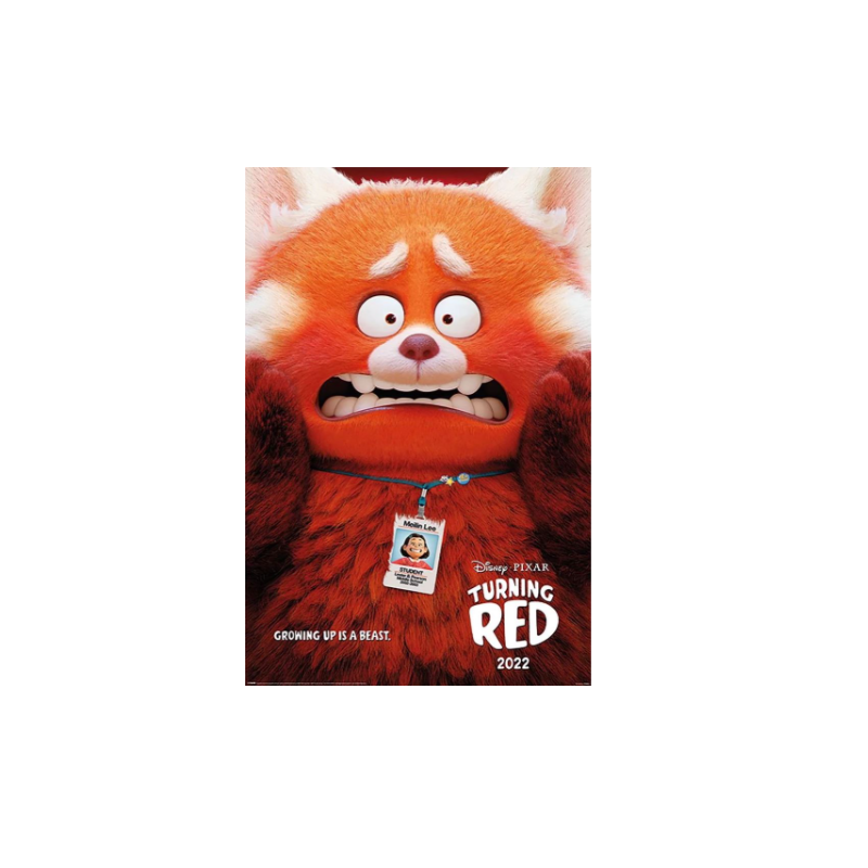 ALERTE ROUGE - Panda Roux Mei - Poster 61x91cm - Disney