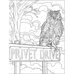 Coloriage Harry Potter au Numéro