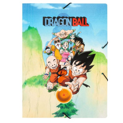 CHEMISE A RABATS CARTONNÉE...