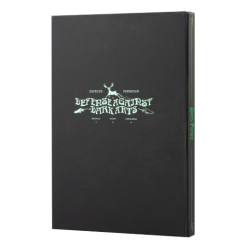 Carnet lenticulaire patronus A5 Harry Potter