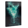 Carnet lenticulaire patronus A5 Harry Potter