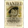 ONE PIECE - Luffy - Neon Mural Led - 30 cm