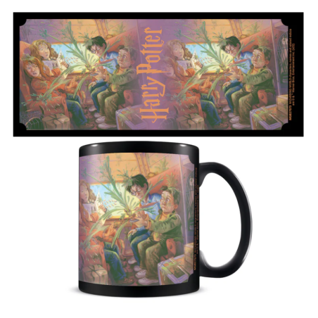 Mug en céramique noir Harry Potter 315 ml