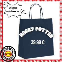 SAC SURPRISE HARRY POTTER -...