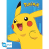POKEMON - Personnages en couleurs - Set de 2 posters '52x38'