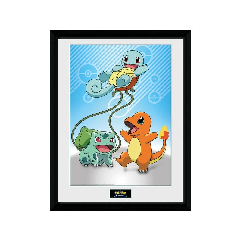 POKEMON - Collector Print 30X40 - Kanto Starters