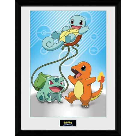 POKEMON - Collector Print 30X40 - Kanto Starters