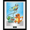 POKEMON - Collector Print 30X40 - Kanto Starters