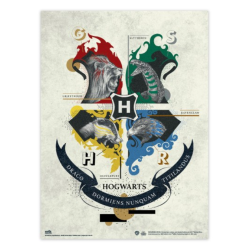 LOT DE 2 MINIPOSTERS HARRY POTTER