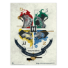 LOT DE 2 MINIPOSTERS HARRY POTTER