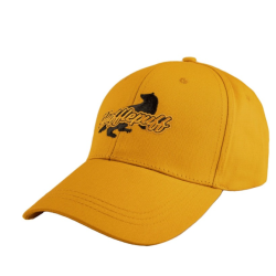 Harry Potter - Casquette...