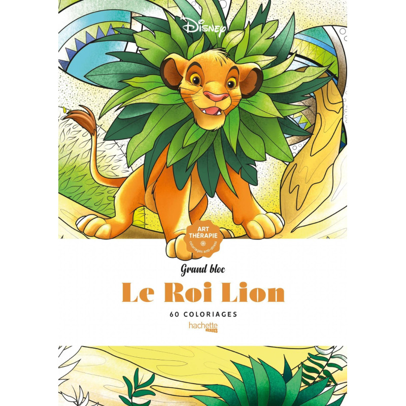 Grand bloc coloriages Roi Lion (classique) disney