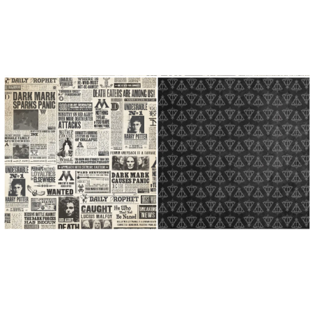 Papier pour scrapbooking Harry Potter