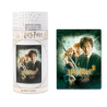 PUZZLE 500 PIECES HARRY POTTER LA CHAMBRE DES SECRETS