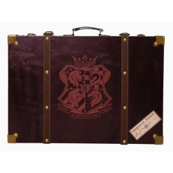 LOT DE 2 VALISES HARRY POTTER