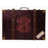 LOT DE 2 VALISES HARRY POTTER
