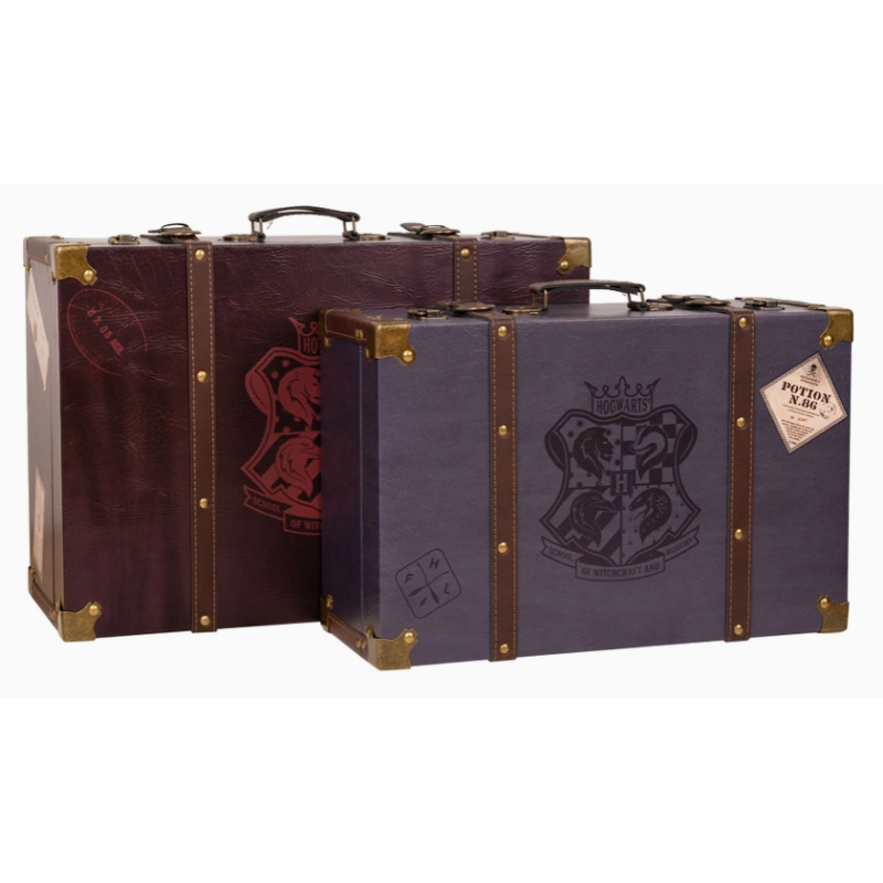 LOT DE 2 VALISES HARRY POTTER