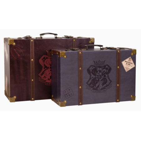 LOT DE 2 VALISES HARRY POTTER