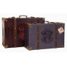 LOT DE 2 VALISES HARRY POTTER