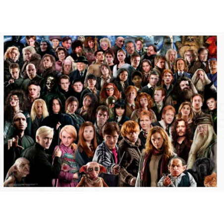 PUZZLE IMPOSSIBLE HARRY POTTER 1000 PIECES