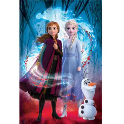 Affiche La Reine des neiges 2 Guilding spirit - Disney