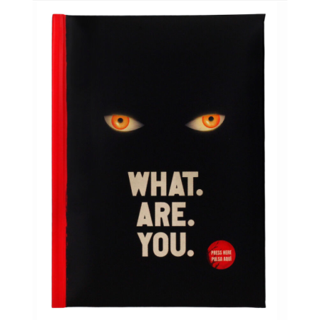 Carnet de notes « Qu'est-ce que vous êtes ? » - it