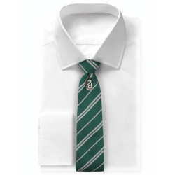 Harry Potter - Cravate Deluxe et Pin's Serpentard
