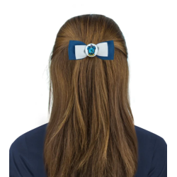 Harry Potter - Set de 2 accessoires Serdaigle pour cheveux