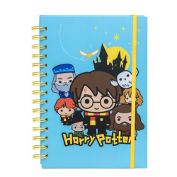 Cahier à spirales des...