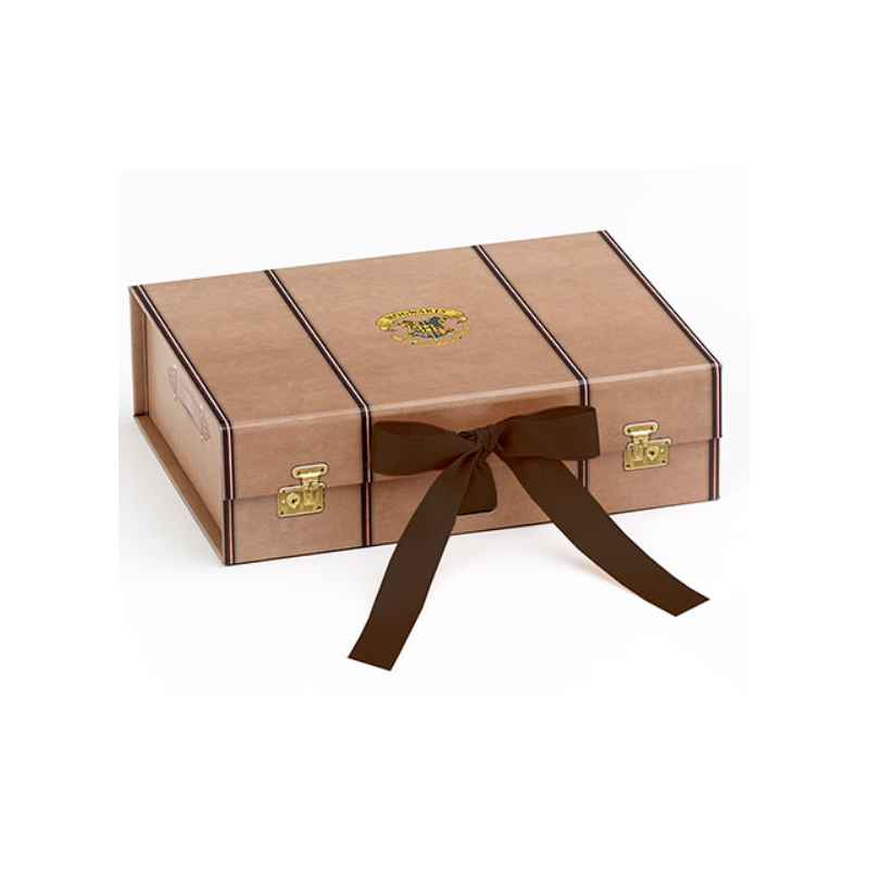 Harry Potter - petite boîte valise TAILLE S