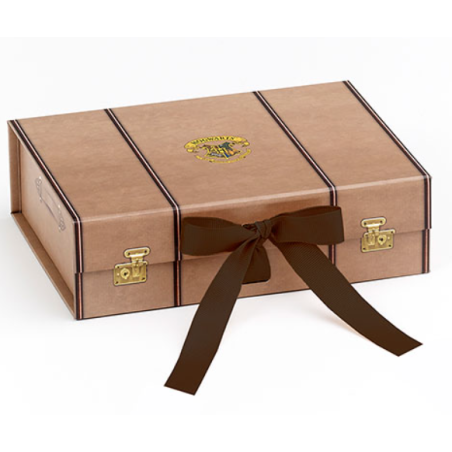 Harry Potter - petite boîte valise TAILLE S