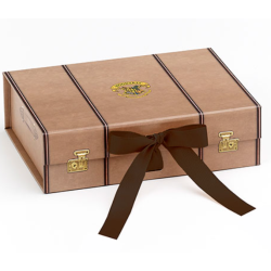Harry Potter - petite boîte valise TAILLE S