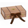 Harry Potter - petite boîte valise TAILLE S
