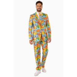 PRECOMMANDE Costume POKEMON...