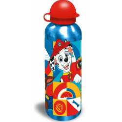 BLIND BOX - PAT PATROUILLE - Bouteille d'eau en aluminium 500 ml