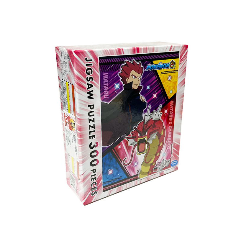 Puzzle de 300 pièces Wataru & Gyarados / Leviator - Pokémon
