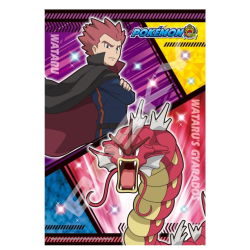 Puzzle de 300 pièces Wataru & Gyarados / Leviator - Pokémon