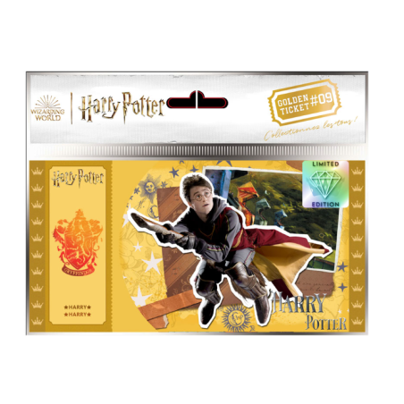 Ticket d'or Harry Potter Quidditch
