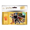 Ticket d'or Harry Potter Quidditch