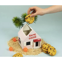 DRAGON BALL - BOITE A COOKIES - KAME HOUSE - L22 x l19 x h23 cm