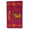 Tapis intérieur Quidditch - Harry Potter