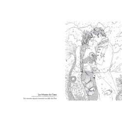 Livre de Coloriage Romantaisy