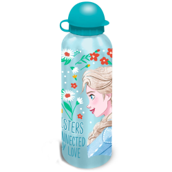 Blind box - Gourde en aluminium Disney La Reine des Neiges 500Ml