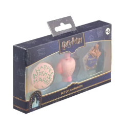 SET DE 3 AIMANTS HARRY POTTER
