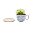 Tasse Décorative + Fausse Plante ALICE AUX PAYS DES MERVEILLES - Disney