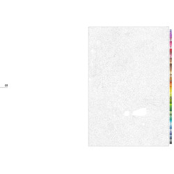 Coloriages mystères Disney - Très grands classiques