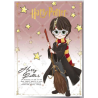 HARRY POTTER - Harry - Carte de Voeux avec Pin's